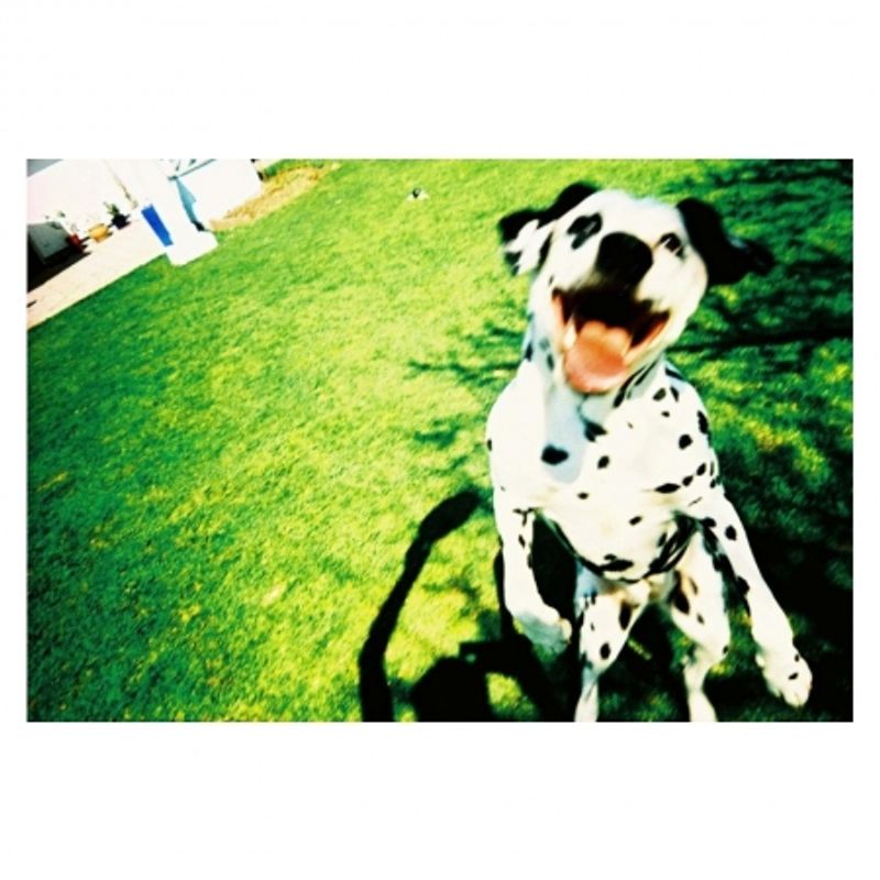 lomography-colorsplash-camera-chrome-35736-8
