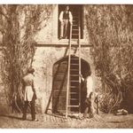 william-henry-fox-talbot-28375-6