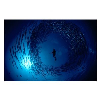 Water Light Time - David Doubilet