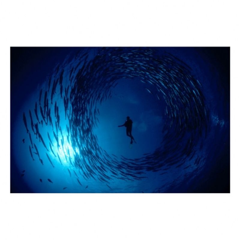 water-light-time-david-doubilet-28390-1