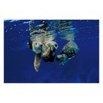 water-light-time-david-doubilet-28390-2