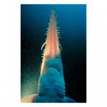 water-light-time-david-doubilet-28390-5