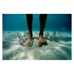 water-light-time-david-doubilet-28390-6