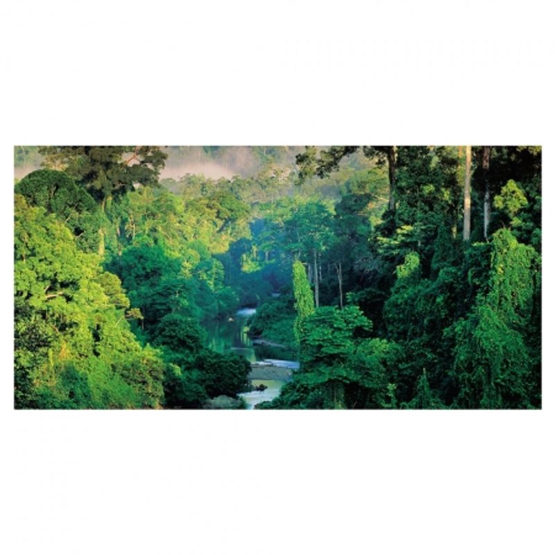 frans-lanting-jungles-28468-4