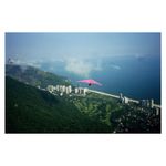 mario-de-janeiro-testino-28470-2