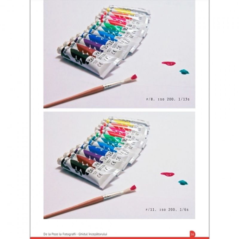 e-book-de-la-poze-la-fotografii-29153-5