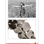 e-book-fotografii-spectaculoase-cu-softuri-gratuite-29164-5
