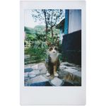 lomo4_1_2