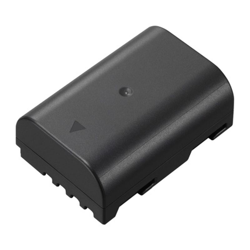 panasonic-dmw-blf19e-acumulator-pentru-dmc-gh3-29645