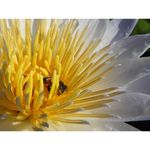 nikon-coolpix-b700-negru-49681-5-763