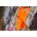 panasonic-dmc-gx80-kit-lumix-g-vario-12-32mm-f-3-5-5-6-asph--mega-o-i-s--argintiu-50782-615-667