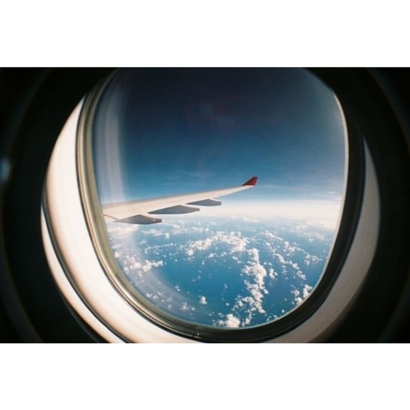 lomography-fisheye-2-brazilian-summer-aparat-foto-film--52002-267-687