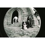 lomography-fisheye-2-brazilian-summer-aparat-foto-film--52002-273-222
