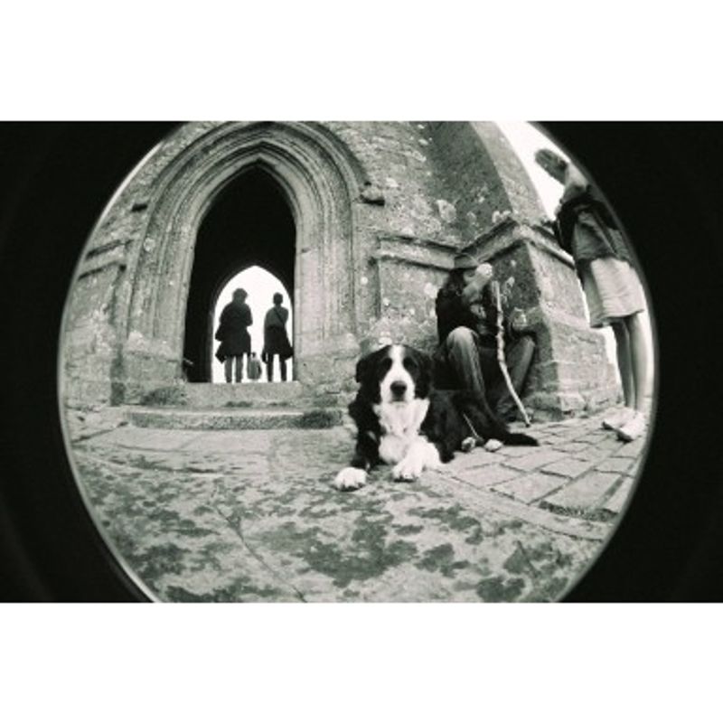 lomography-fisheye-2-brazilian-summer-aparat-foto-film--52002-273-222