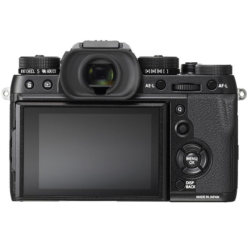 fuji2