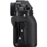 fuji5