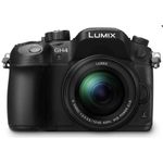 panasonic-lumix-dmc-gh4-g-vario-12-60mm-f-3-5-5-6-asph--power-o-i-s-55867-527-302
