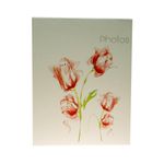 album-foto-10x15-cm-pp46100-s2-pentru-100-fotografii-30725