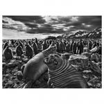 sebastiao-salgado-genesis-32077-2