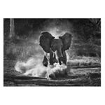sebastiao-salgado-genesis-32077-4