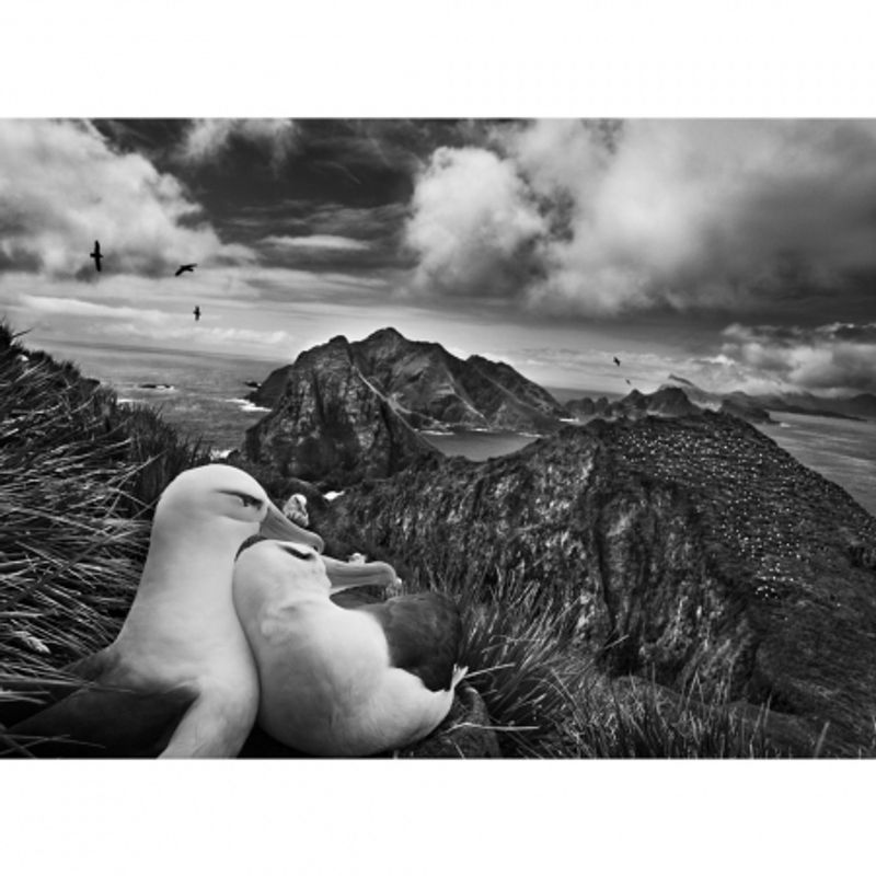 sebastiao-salgado-genesis-32077-10