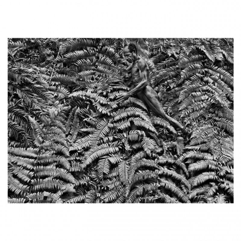 sebastiao-salgado-genesis-32077-12