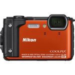 nikonp1
