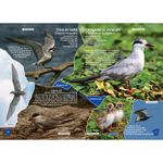 album-promovare-delta-dunarii-34288-1