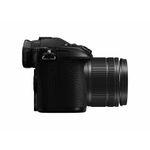 panasonic-lumix-dc-g9-kit-lumix-12-60mm-f-3-5-5-6-66305-6-99