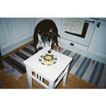 lomography-simple-use-camera--400-36-color-66430-8-657
