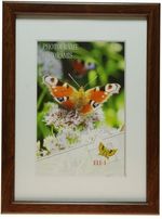 rama-foto-plastic-b--maro--10-x-15cm-38355-738