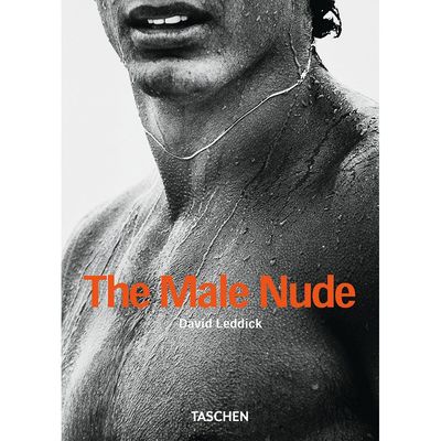 David W. Leddick - The Male Nude