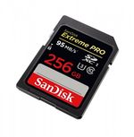 sandisk-extreme-pro-sdxc-256gb-95mb-s-41903-1-105