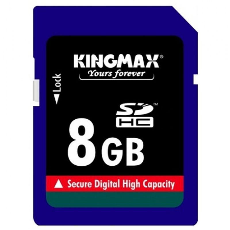 kingmax-sdhc-8gb-class10-bulk-42313-619