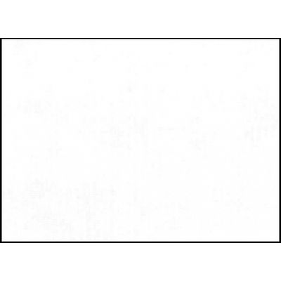 Fancier WOB5001 fundal panza 3x6m - Alb solid