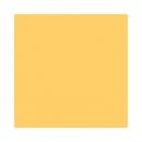 Colorama fundal carton 2.72 x 11m  Galben / Maize