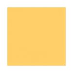 fundal-carton-2-72-x-11m-galben-maize-31-13313