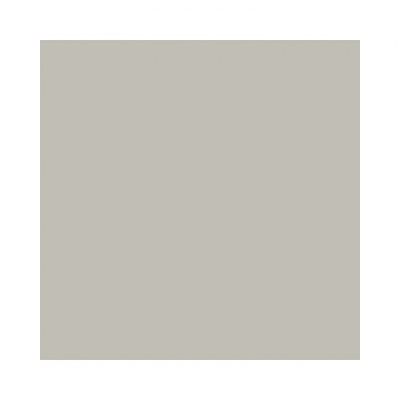 Colorama fundal carton 2.72 x 11m - Platinum