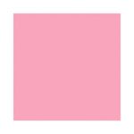 fundal-carton-2-72-x-11m-pastel-pink-carnation-21-15840