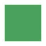 fundal-carton-2-72-x-11m-chromagreen-33-15845