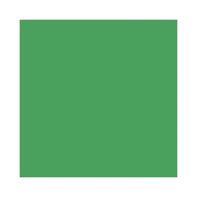 Colorama fundal carton 2.72 x 11m - Chromagreen