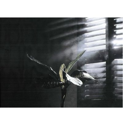 Condor Smoky 01600 - Spray cu efect de fum