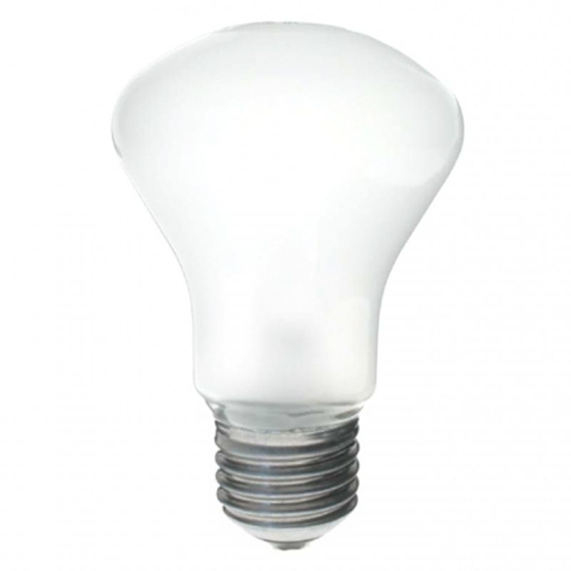 elinchrom-23002-modelling-lamp-100w-d-lite-bxri-19350