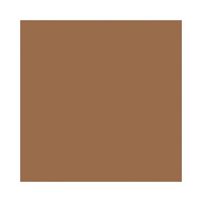 Colorama fundal carton 2.72 x 11m Cardamon 17