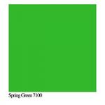 colorama-spring-green-7100-fundal-pvc-100x130cm-mat-19709