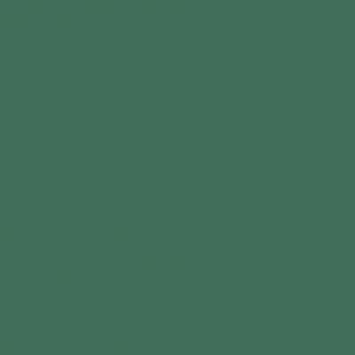 Colorama fundal carton 2.72 x 11m - Spruce Green