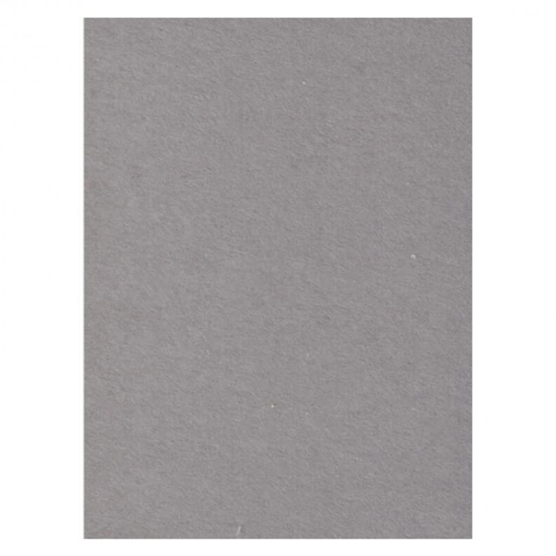 creativity-backgrounds-seal-grey-04-fundal-carton-2-72-x-11m-26529