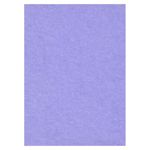 creativity-backgrounds-crocus-29-fundal-carton-2-72-x-11m-26536