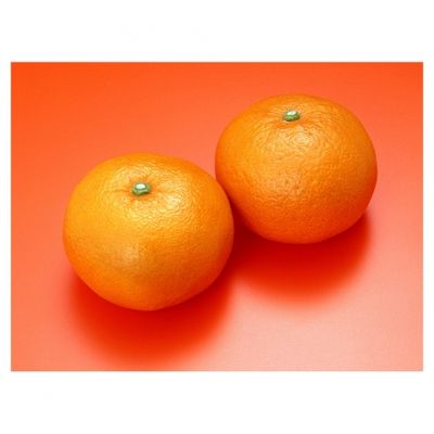 Creativity Backgrounds Mandarin 39 - Fundal carton 2.72 x 11m