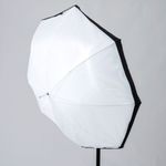 lastolite-4538-umbrella-8-in-1-36999-2